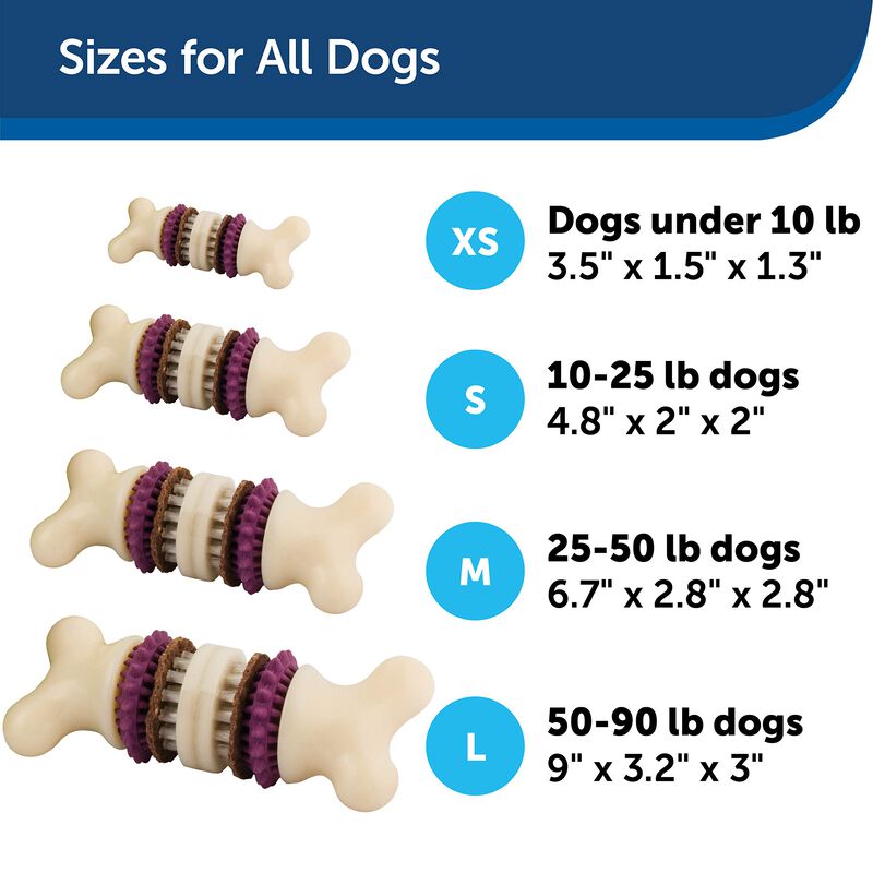 Juguete Para Perros Petsafe Busy Buddy Bristle ... image number null