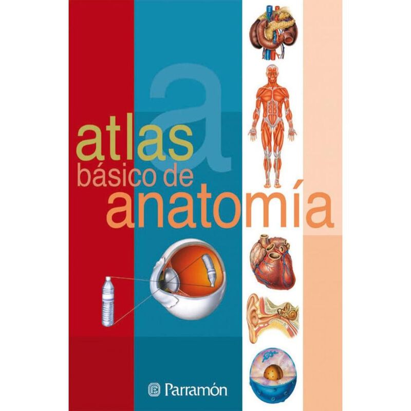 Atlas básico de anatomía image number null