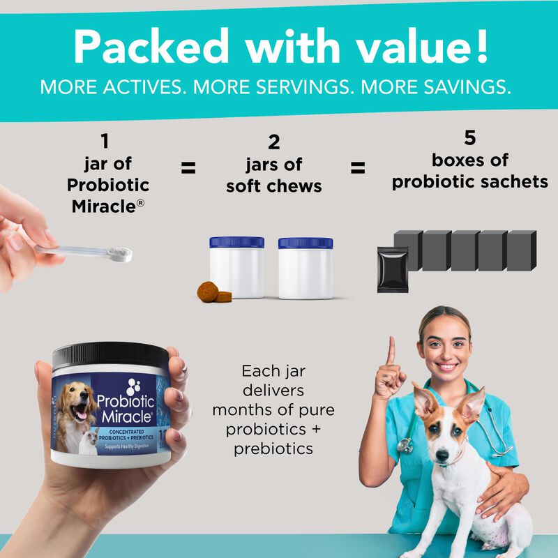 Probiotic Miracle Probi&oacute;ticos Para Gatos Y Perr... image number null