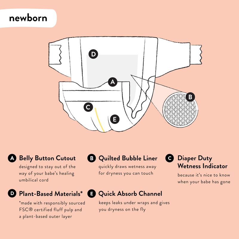 Pa&ntilde;ales The Honest Company Clean Conscious Para... image number null