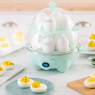 Egg Cooker Express