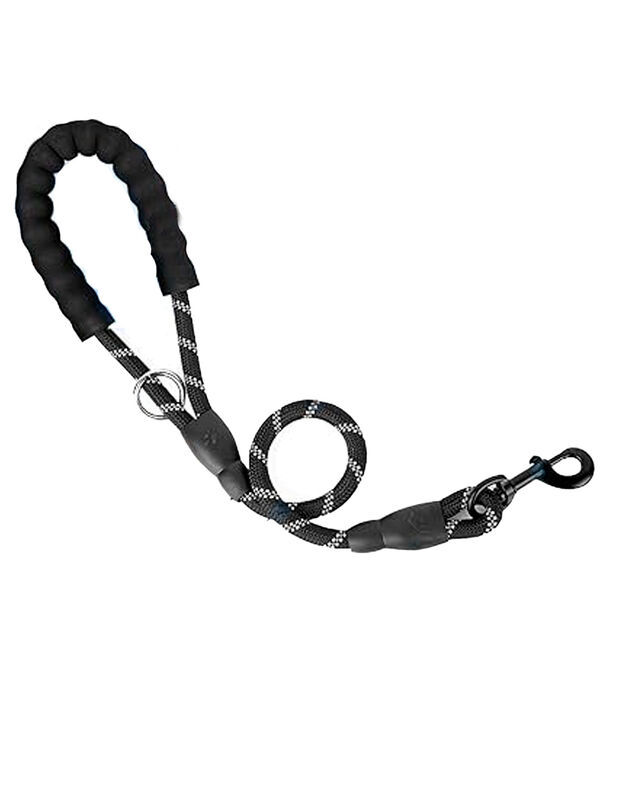 Doggy Run image number null