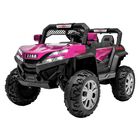 Carro Montable Buggy El&eacute;ctrico Luces Musica Usb Control Rosa Little Monkey