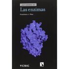 Las enzimas