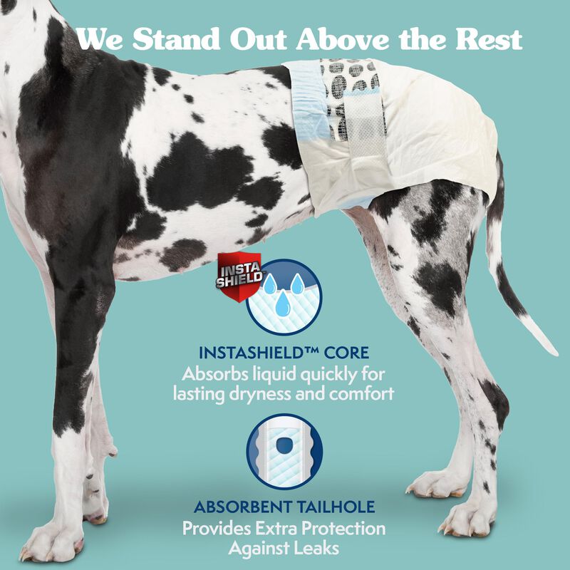 Pa&ntilde;ales Desechables Para Perros Simple Solution... image number null