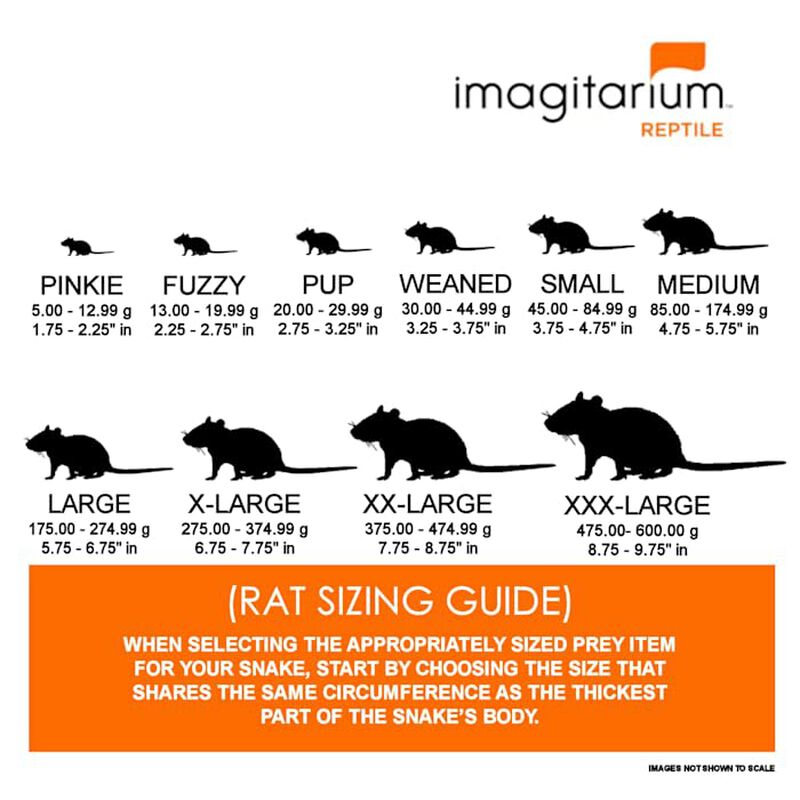 Rata Congelada The Gourmet Rodent - Paquete De ... image number null