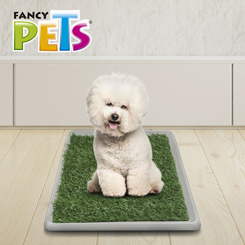 FANCY PETS. Tapete Entrenador ExtraChico con Pa... image number null