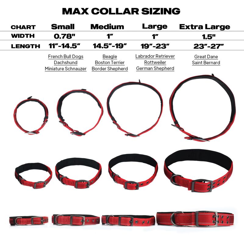 Collar Para Perro Petifine Mediano 36‑48 cm Roj... image number null