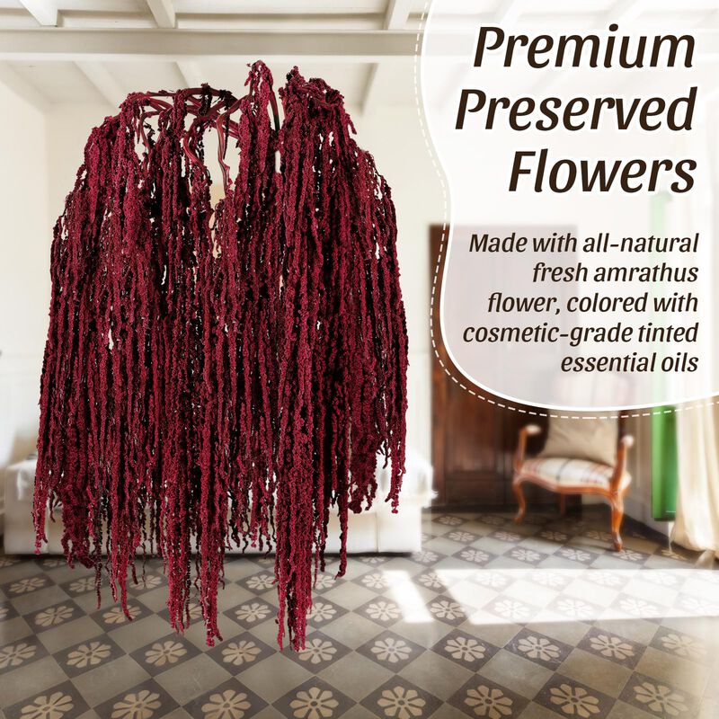 Planta Seca Suncalla 60 cm Amaranto Rojo &ndash; 12 P... image number null