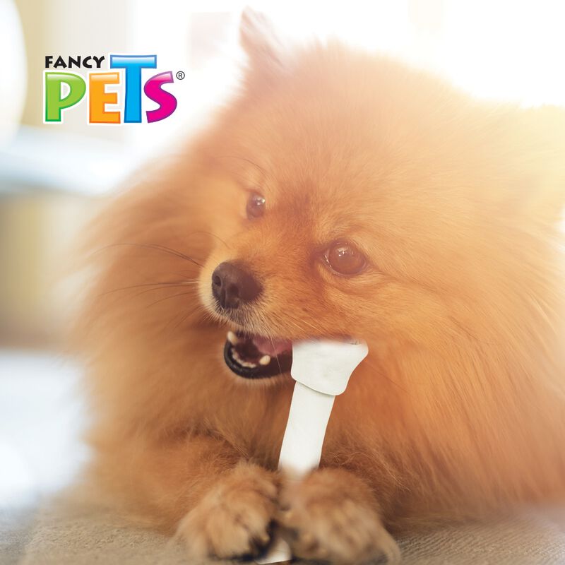Fancy Pets Carnaza Dental Para Perro Con 2 Piez... image number null