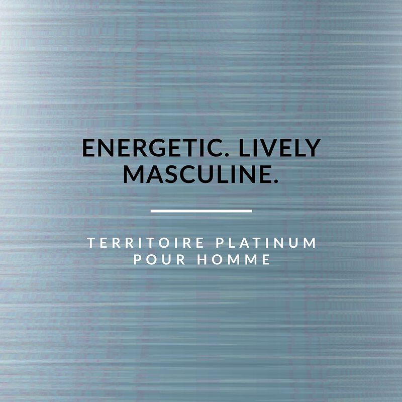 Perfume Territoire Eau De Parfum Platinum Para ... image number null