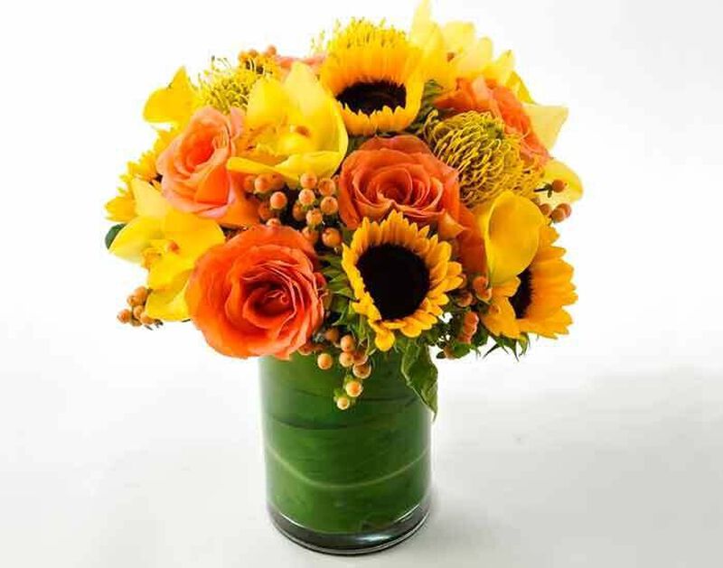 Ferrara image number null