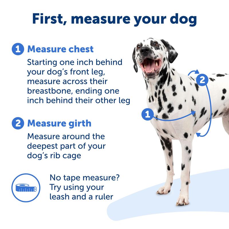 Arn&eacute;s Para Perros Petsafe Easy Walk No-pull, Ta... image number null