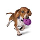 Dispensador De Juguetes Para Perros Petsafe Busy Buddy Twist 'n Treat, Peque&ntilde;o