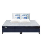 Colch&oacute;n King Size Therapy + Box + 2 Almohadas De Osos