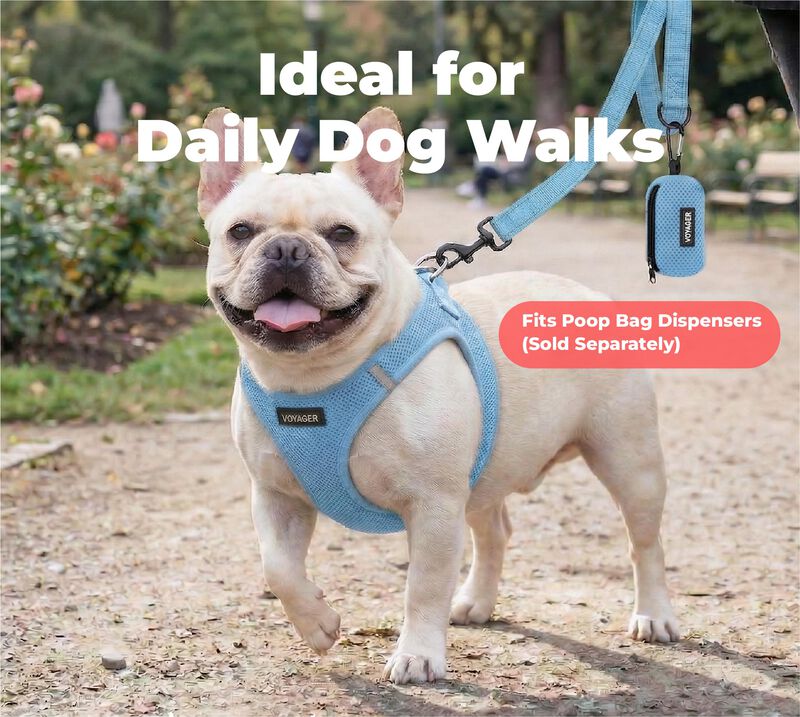 Correa Best Pet Supplies Para Perros Peque&ntilde;os, ... image number null