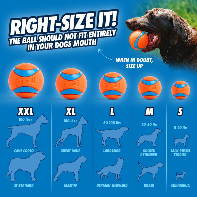 Juguete Para Perros Chuckit! Ultra Ball, Tama&ntilde;o... image number null