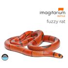 Rata Congelada The Gourmet Rodent - Paquete De 25