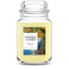 Tarro Grande De Candle Yankee Candle Con Aroma A Lim&oacute;n Siciliano, 650 Ml