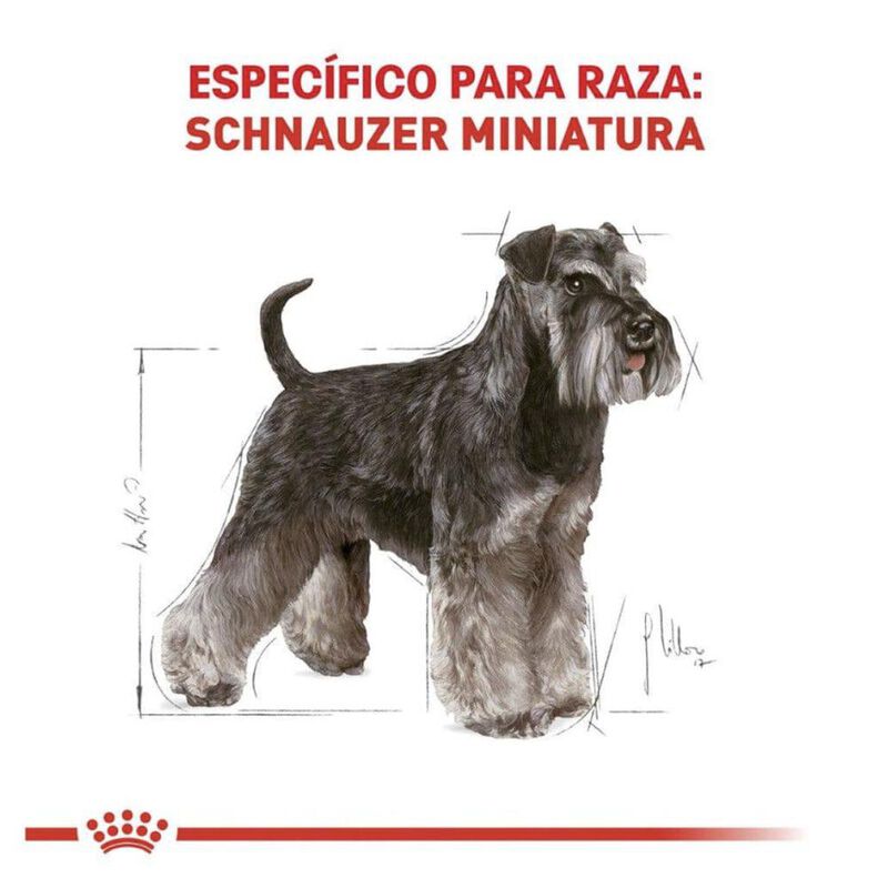 Royal Canin Bhn Miniature Schnauzer 4.55 Kg Ori... image number null