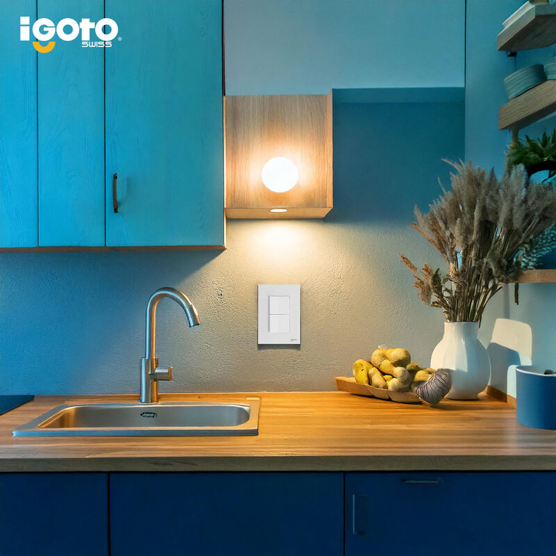 Placa Armada Cristal IGOTO CRIS1010-2010 con 2 ... image number null