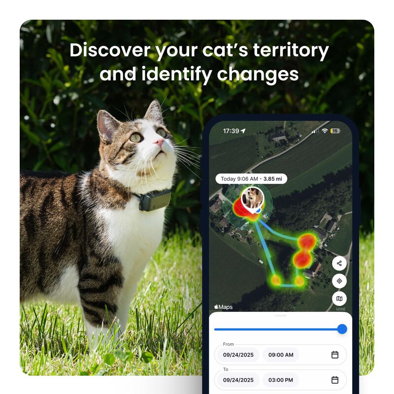 Localizador Gps Para Gatos Tractive, Ubicaci&oacute;n ... image number null