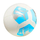 Bal&oacute;n Puma Big Cat No.5 084214 04
