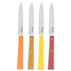 Cuchillos Para Carne Opinel De 4 Piezas Con Mango De Madera En Colores C&iacute;tricos