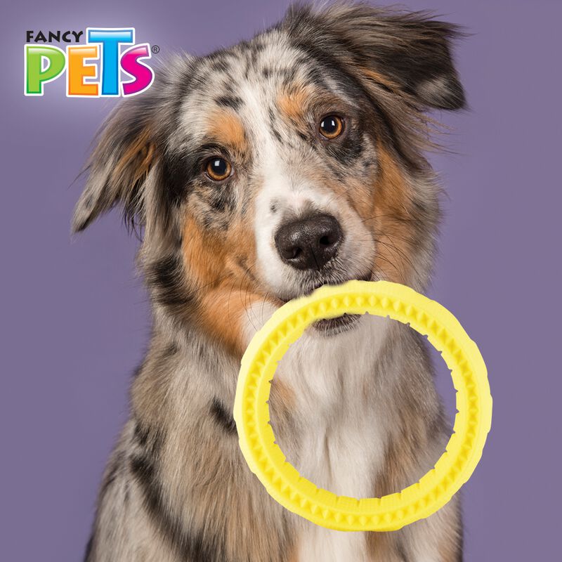 Fancy Pets Juguete Chew Aro Masticable para Per... image number null