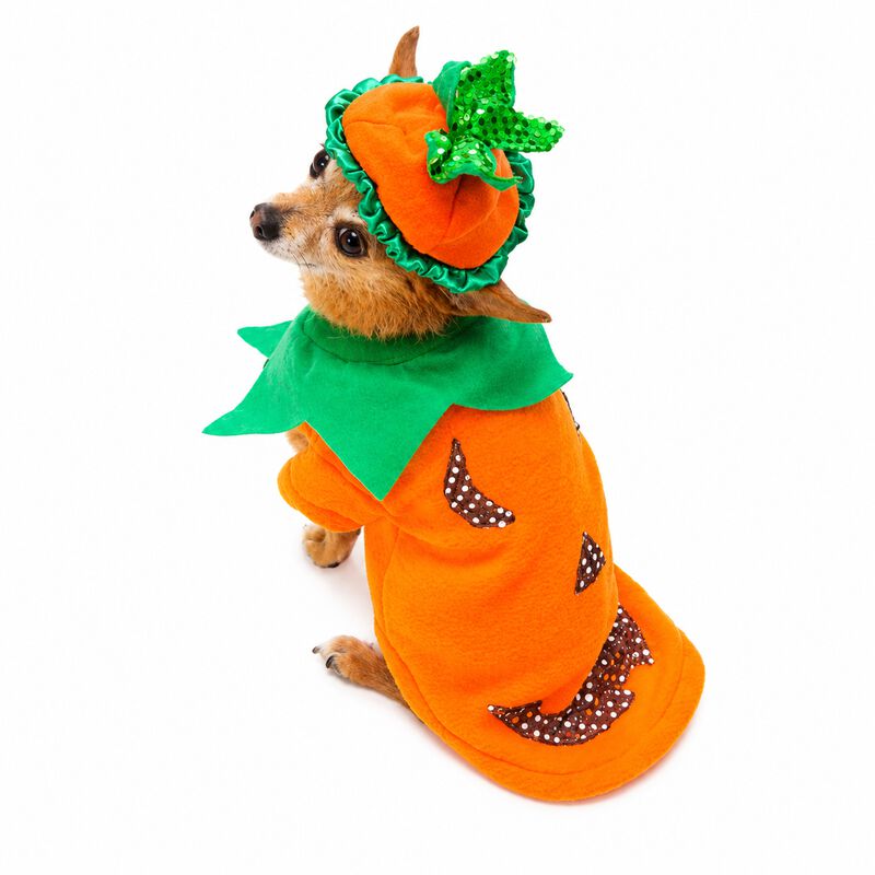 Disfraz Calabaza Perro Halloween Talla 00 Masco... image number null
