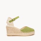 Jara Cu&ntilde;a Media Plataforma Ante Verde