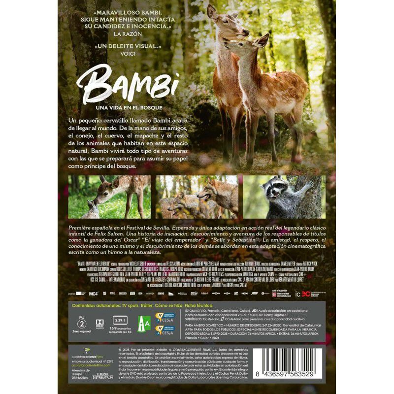 Bambi, Una Vida En El Bosque [DVD] (2024) Bambi... image number null