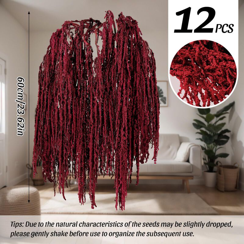 Planta Seca Suncalla 60 cm Amaranto Rojo &ndash; 12 P... image number null