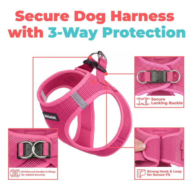 Arn&eacute;s Para Perro Best Pet Supplies Xxx-peque&ntilde;o ... image number null