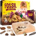 Kit De Excavaci&oacute;n Fossil Dan&darci Mega Science Para Ni&ntilde;os De 8 A 12 A&ntilde;os Con Gu&iacute;a
