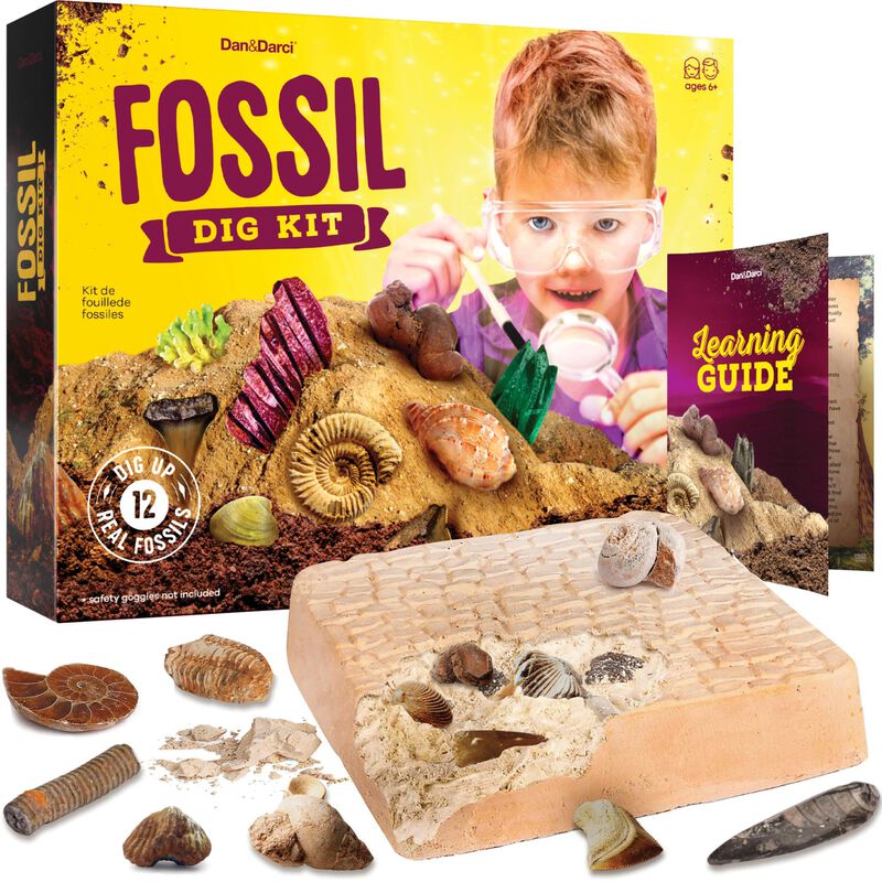 Kit De Excavaci&oacute;n Fossil Dan&darci Mega Science... image number null