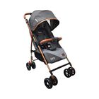 Carriola Park Ligera Y Plegable