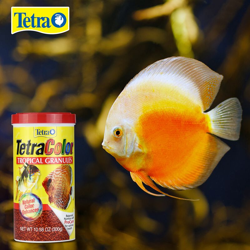 Tetra TetraColor Tropical Granules Alimento par... image number null