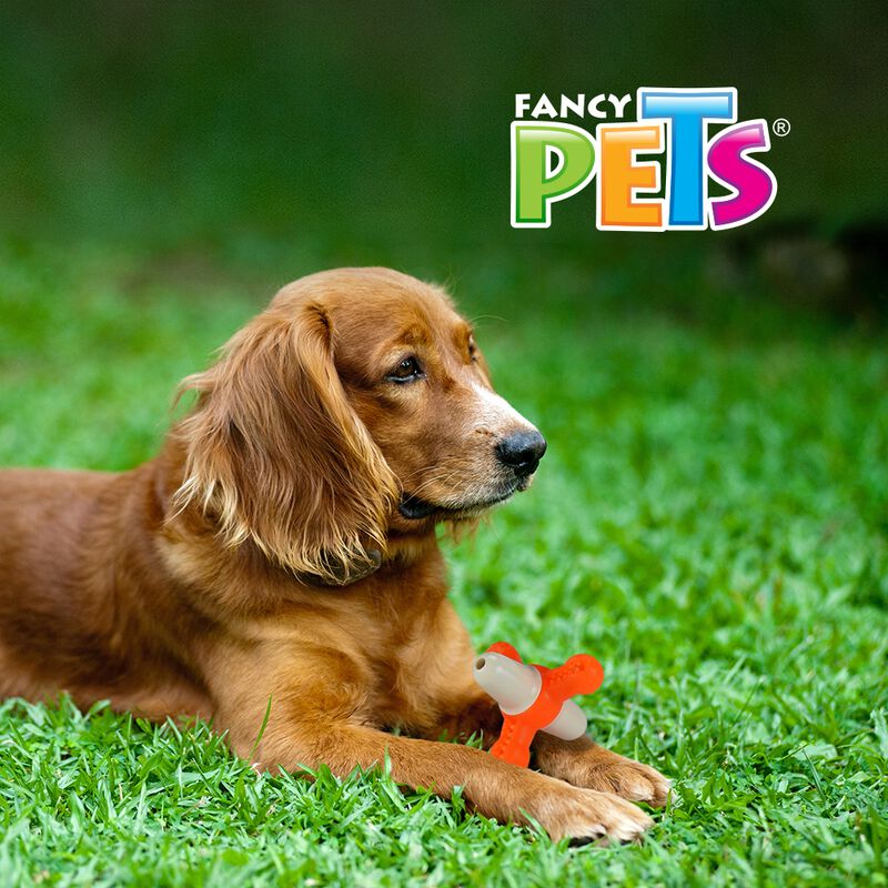 Fancy Pets Juguete Dental Matatena con Sonido p... image number null