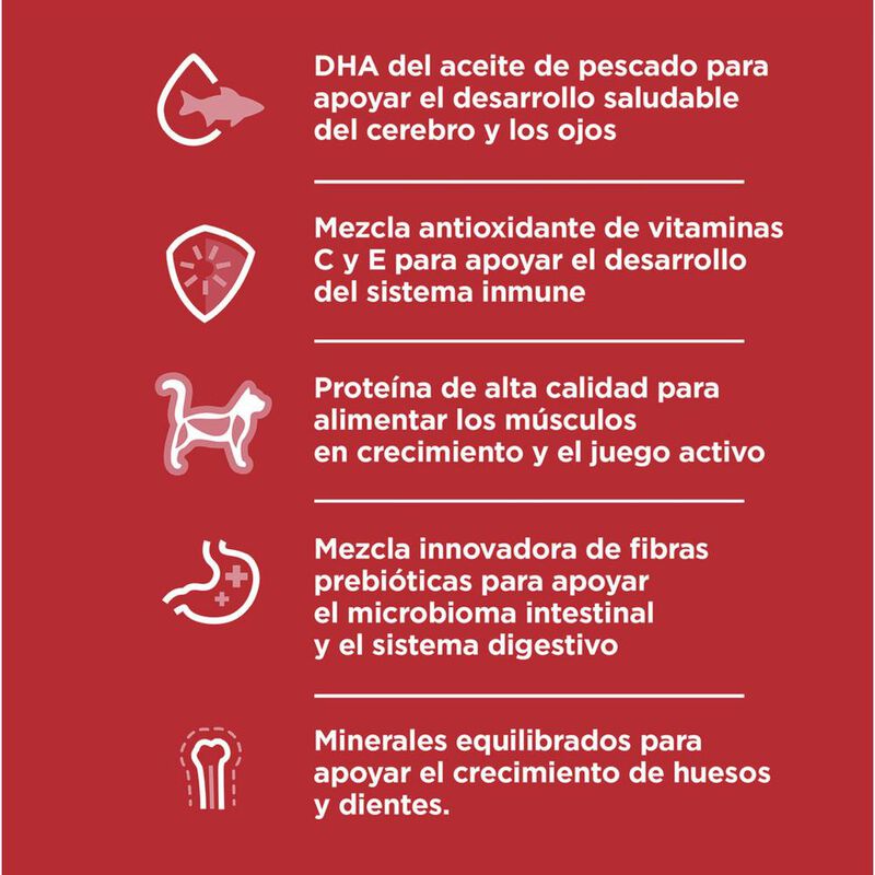 Hill's Felino Kitten 3.2 Kg 1 Unid X Caja mas P... image number null