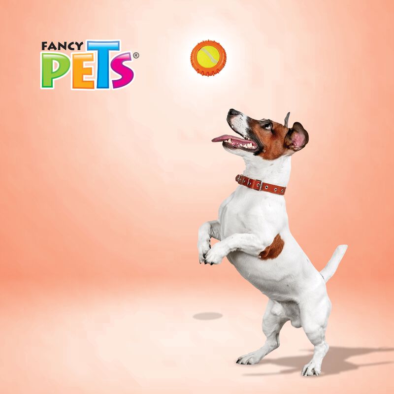 Fancy Pets Juguete con Pelota de Tenis para Per... image number null
