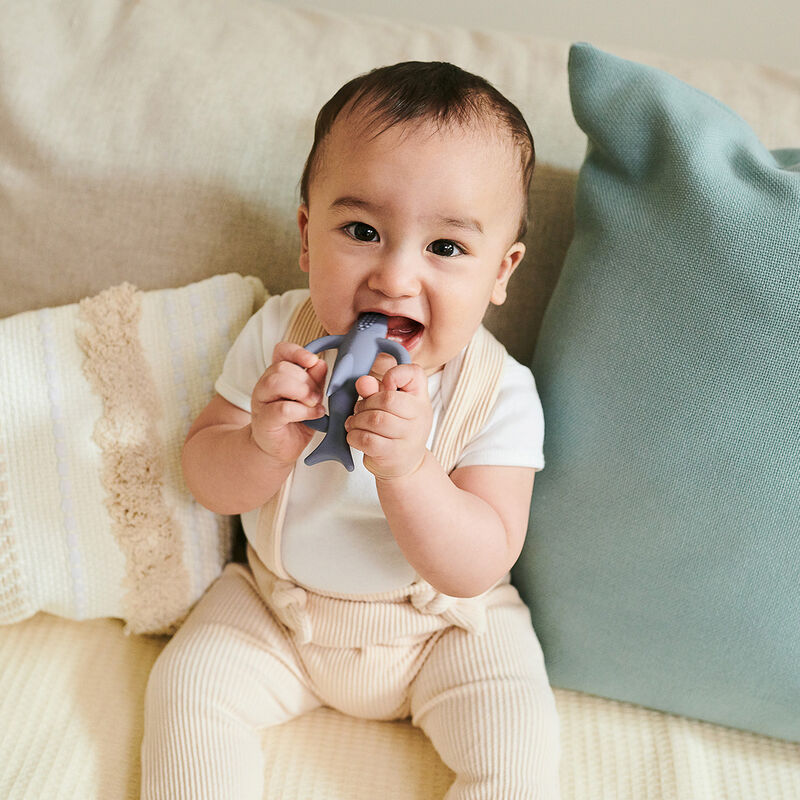 Mm Mordedera Tiburon image number null