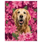 Cuadro Decorativo Impreso 70x100cm Golden Retriever