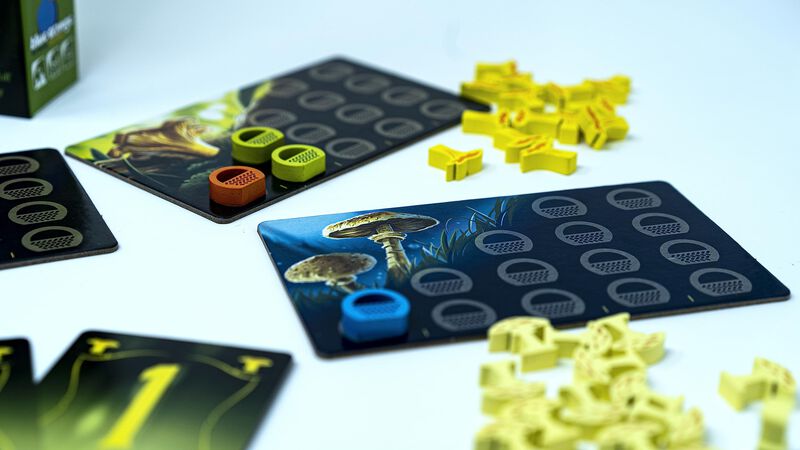 Juego De Mesa Blue Orange Wonder Woods Magical ... image number null