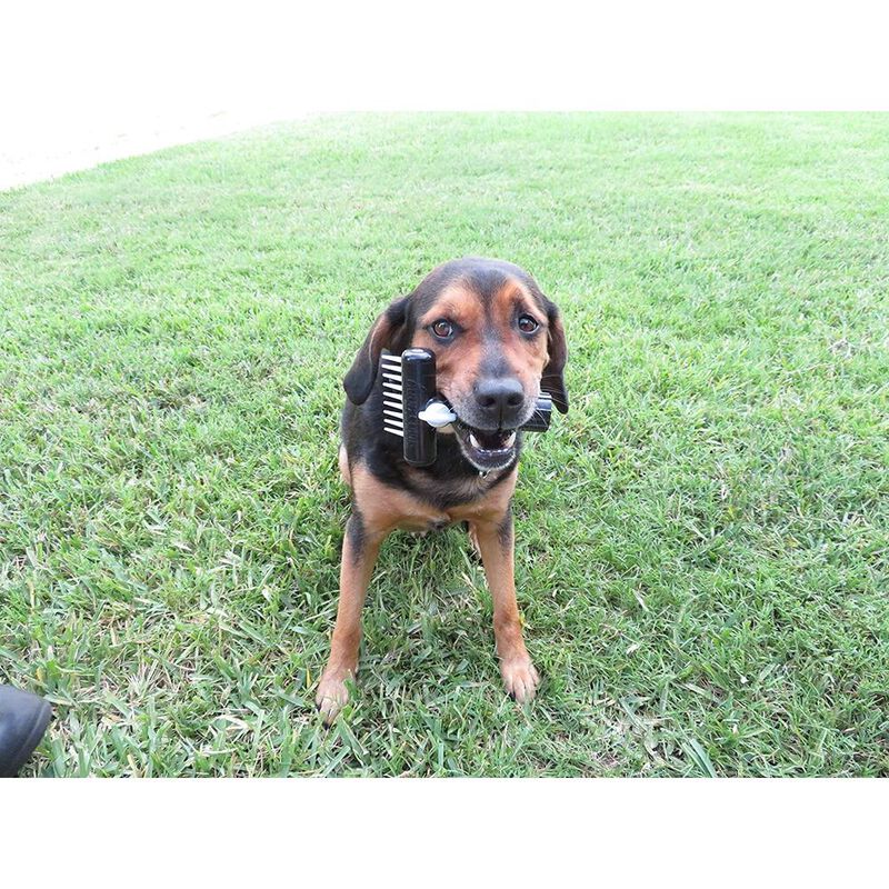 Cepillo para bañar perro. Aqua Comb.  Perros co... image number null