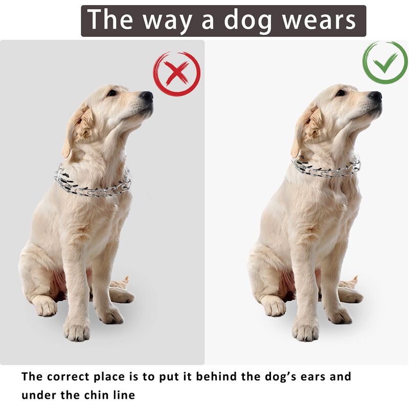 Collar Con Forma De Punta Para Perros Monlida, ... image number null