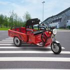 Triciclo de Carga El&eacute;ctrico