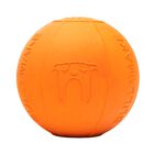 Juguete Para Perro Bullymake Toss N Treat Con Dispensador De Golosinas De Goma