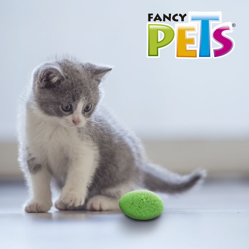 Fancy Pets Set De Juguetes Surtidos Catch Para ... image number null