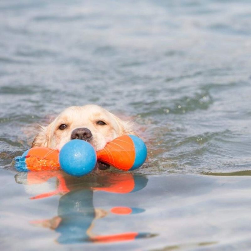 Juguete Para Perros Chuckit! Amphibious Tri-bum... image number null